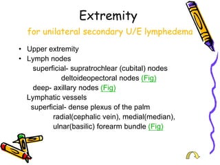 Extremity
  for unilateral secondary U/E lymphedema
• Upper extremity
• Lymph nodes
    superficial- supratrochlear (cubital) nodes
             deltoideopectoral nodes (Fig)
    deep- axillary nodes (Fig)
  Lymphatic vessels
   superficial- dense plexus of the palm
          radial(cephalic vein), medial(median),
          ulnar(basilic) forearm bundle (Fig)
 