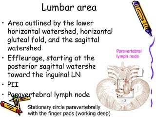 Lumbar area
• Area outlined by the lower
  horizontal watershed, horizontal
  gluteal fold, and the sagittal
  watershed                                   Paravertebral
• Effleurage, starting at the                 lympn node

  posterior sagittal watershed
  toward the inguinal LN
• PII
• Paravertebral lymph node
        Stationary circle paravertebrally
        with the finger pads (working deep)
 