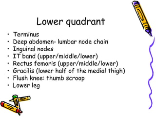 Lower quadrant
•   Terminus
•   Deep abdomen- lumbar node chain
•   Inguinal nodes
•   IT band (upper/middle/lower)
•   Rectus femoris (upper/middle/lower)
•   Gracilis (lower half of the medial thigh)
•   Flush knee: thumb scroop
•   Lower leg
 