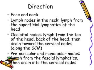Direction
• Face and neck
• Lymph nodes in the neck: lymph from
  the superficial lymphatics of the
  head
• Occipital nodes: lymph from the top
  of the head, back of the head, then
  drain toward the cervical nodes
  (along the SCM)
• Pre-auricular and mandibular nodes:
  lymph from the fascial lymphatics,
  then drain into the cervical nodes
 