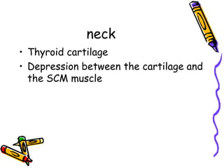 neck
• Thyroid cartilage
• Depression between the cartilage and
  the SCM muscle
 