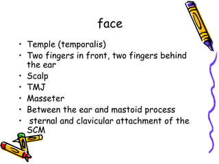 face
• Temple (temporalis)
• Two fingers in front, two fingers behind
  the ear
• Scalp
• TMJ
• Masseter
• Between the ear and mastoid process
• sternal and clavicular attachment of the
  SCM
 
