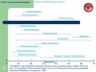 Block 7: Musculoskeletal System        Bone and Soft-Tissue Tumors



                             Enchondroma
                         Chondroblastoma
                                                                    Chondrosarcoma



                        Osteoblastoma
                           Osteosarcoma
                                                 Fibrosarcoma
                                                                                              Myeloma
                                                                   Lymphoma

                                                Giant cell tumor
                        Ewing’s sarcoma

                  Osteochondroma
                    Osteoid osteoma
                                                               Maligant fibrous Histiocytoma

                                                   Age(years)
      0            10             20             30           40               50             60           70
          FIGURE69-1. Age distribution of patients with bone tumor according to type. (Wilkins. R.M. and
  3       Sim. F.H. Evaluation of Bone and Soft Tissue Tumors. In D Ambrosia R.D.(ed): Musculcskeletal
          Disorders Philadelphia J. B.Lippincou. 1986
 