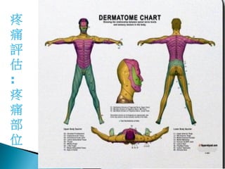 疼
痛
評
估
:
疼
痛
部
位
    19
 