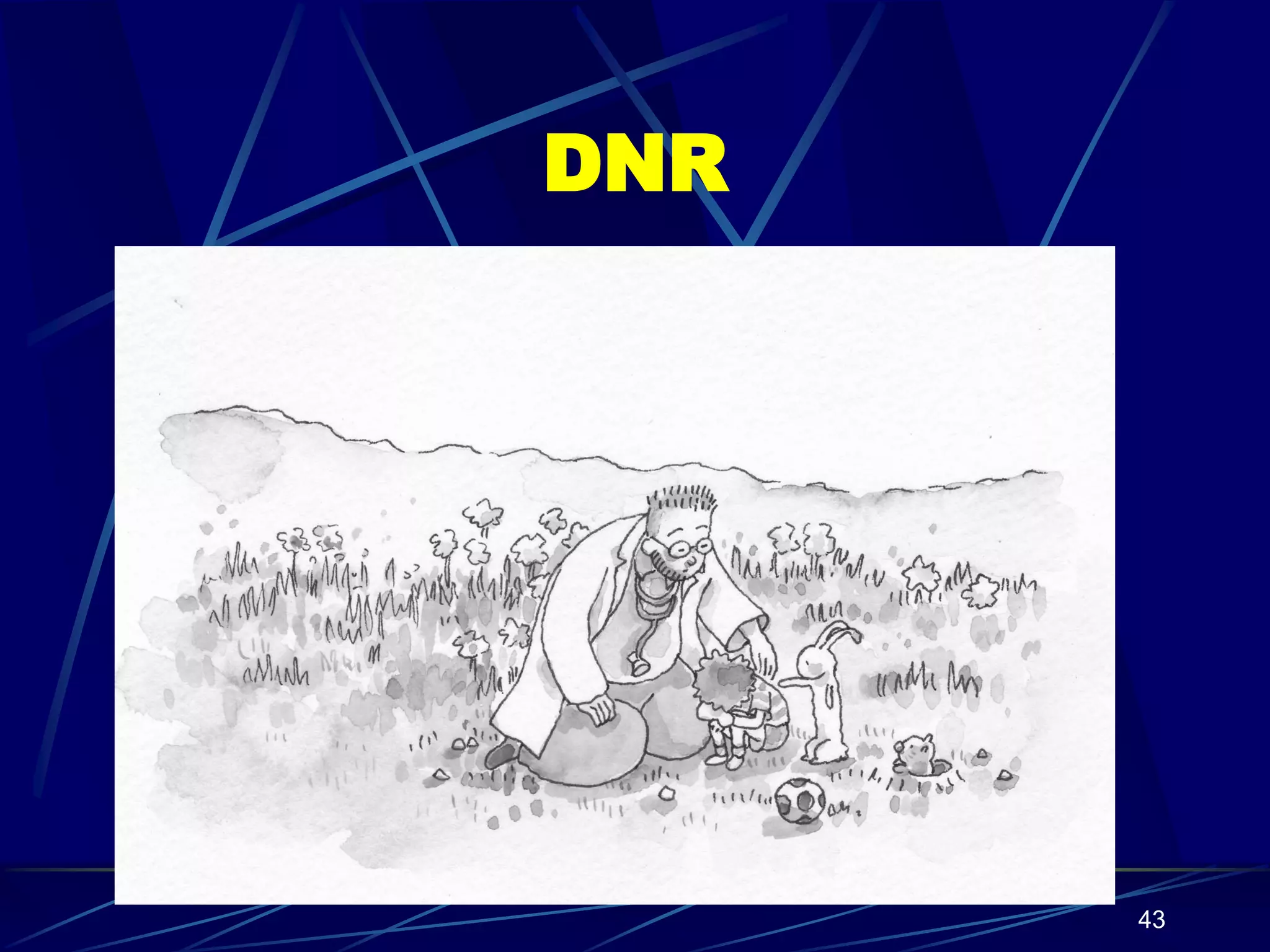 DNR




      43
 