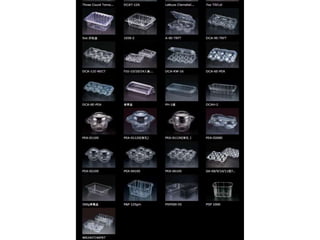 фото упаковки Gastronorm