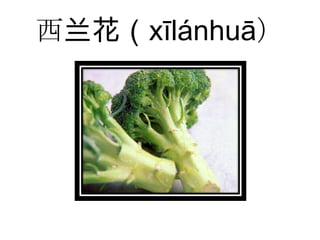 西兰花（xīlánhuā）
 