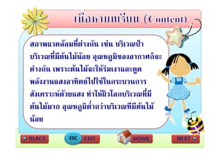 สภาพแวดลอมทตางกน เชน บรเวณปา
ส             ี่  ั ช ิ ป
บริเวณที่มีตนไมนอย อุณหภูมิของอากาศก็จะ
                          ุ ู
ตางกัน เพราะตนไมจะใหรมเงาและดูด
พลังงานแสงอาทิตยไปใ ในกระบวนการ
                       ปใช
สงเคราะหดวยแสง ทาใหผวโลกบรเวณทม
สังเคราะหดวยแสง ทําใหผิวโลกบริเวณทีมี
                                      ่
ตนไมมาก อุณหภูมต่ํากวาบริเวณทีมีตนไม
                    ิ
นอย
            ESC
 