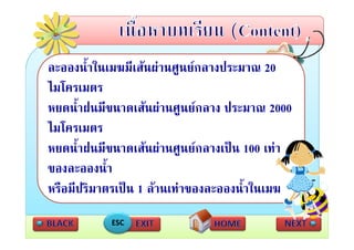 ละอองน้ําในเมฆมีเสนผานศนยกลางประมาณ 20
ละอองนาในเมฆมเสนผานศูนยกลางประมาณ
ไมโครเมตร
หยดน้ําฝนมีขนาดเสนผานศูนยกลาง ประมาณ 2000
ไมโครเมตร
ไ โ
หยดน้ําฝนมีขนาดเสนผานศููนยกลางเปน 100 เทา
ของละอองน้ํา
หรือมีปริมาตรเปน 1 ลานเทาของละอองนํ้าใ
                                          ในเมฆ
            ESC
 