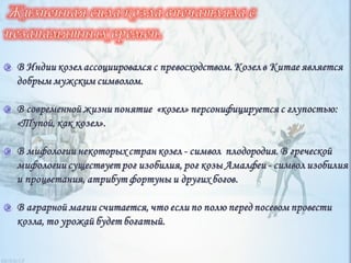 серебряное копытце корякина