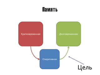 Память


Кратковременная                 Долговременная




                  Оперативная


                                             Цель
 