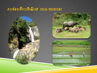 การท่องเที่ยวเชิงนิเวศ (ECO-TOURISM)
 