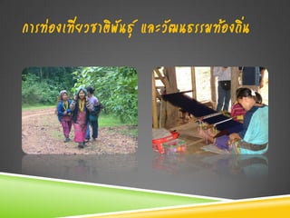 การท่องเที่ยวชาติพันธุ์ และวัฒนธรรมท้องถิ่น
 