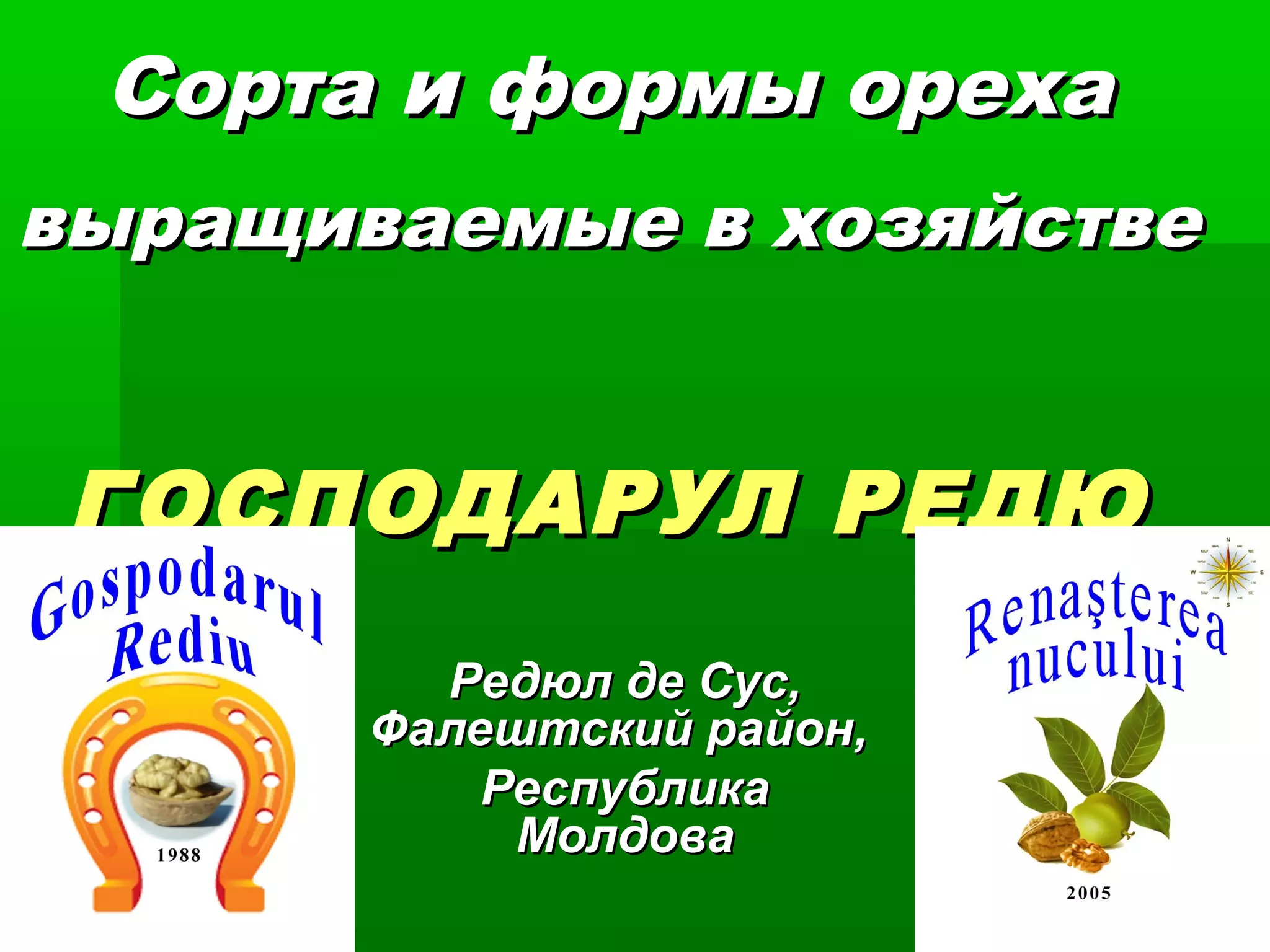 Сорта и формы ореха
выращиваемые в хозяйстве


 ГОСПОДАРУЛ РЕДЮ
         Редюл де Сус,
       Фалештский район,
           Республика
            Молдова
 