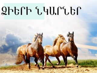 ՁԻԵՐԻ ՆԿԱՐՆԵՐ
 