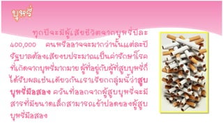 ทุ ก ปี จ ะมี ผู้ เ สี ย ชี วิ ต จากบุ ห รี่ ปี ล ะ
400,000 คนหรืออาจจะมากว่านั้นแต่ละปี
รัฐบาลต้องเสียงบประมาณเป็นค่ารักษาโรค
ที่เกิดจากบุหรี่มากมาย ผู้ที่อยู่กับผู้ที่สูบบุหรี่ก็
ได้รั บผลเช่น เดีย วกัน เราเรี ย กกลุ่ มนี้ว่ า สู บ
บุ ห รี่ มื อ สอง ควั น ที่ อ อกจากผู้ สู บ บุ ห รี่ จ ะมี
สารที่ มี ข นาดเล็ ก สามารถเข้ า ปอดของผู้ สู บ
บุหรี่มือสอง
 