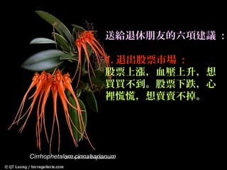 送給退休朋友的六項建議 :

                        1. 退出股票市場 :
                        股票上漲，血壓上升，想
                        買買不到。股票下跌，心
                        裡慌慌，想賣賣不掉。




Cirrhophetalum cinnabarianum
 
