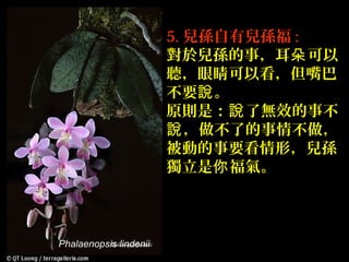 5. 兒孫自有兒孫福 :
                        對於兒孫的事，耳朵 可以
                        聽，眼睛可以看，但嘴巴
                        不要說 。
                        原則是：說 了無效的事不
                        說 ，做不了的事情不做，
                        被動的事要看情形，兒孫
                        獨立是你 福氣。



Phalaenopsis lindenii
 