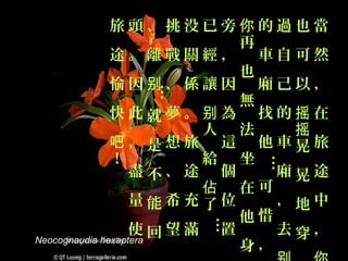 旅頭、挑没已旁你的過也當
                          再
               途。離戰關經， 車自可然
                          也
               愉因别、係讓因 廂己以，



            …
                          無
               快此就夢。别為 找的摇在
                       人 法    摇
               吧，是想旅 這 他車晃旅
               ！       給 坐




                        …
                   盡不、途 個    廂晃途
                       佔 在可
                   量能希充了位    ，地中
                          他惜
                  …
                   使回望滿 置    去穿，
                          身，
Neocognaudia hexaptera
 