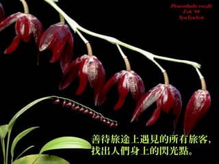 善待旅途上遇見的所有旅客，
找出人們身上的閃光點。
 