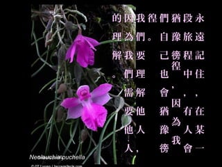的因我徨們猶段永
                      理為們。自豫旅遠
                      解我要   己徬程記
                             徨
                      。們理   也 中住
                             ，
                       需解   會 ，，
                             因
                       要他   猶 有在
                             為
                       他人   豫 人某
                             我
                       人，   徬 會一
Neolauchia puchella
 