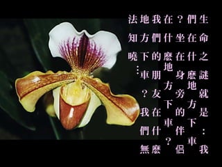 法地我在？們生
知方們什坐在命
曉下的麽在什之
   地




…
 車朋 身麽謎
   方 地
 ？友 旁 就
   下 方
 我在 的 是
   車 下
 們什 伴 ：
   ？ 車
 無麽 侣 我
 