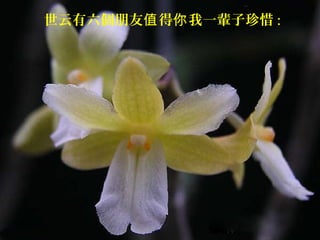 世云有六個朋友值 得你 我一輩子珍惜 :
 