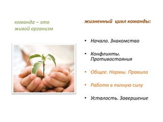 команда – это    жизненный цикл команды:
живой организм

                 • Начало. Знакомство

                 • Конфликты.
                   Противостояния

                 • Общее. Нормы. Правила

                 • Работа в полную силу

                 • Усталость. Завершение
 