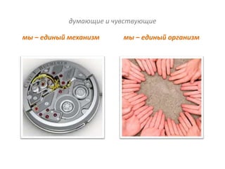 думающие и чувствующие

мы – единый механизм     мы – единый организм
 