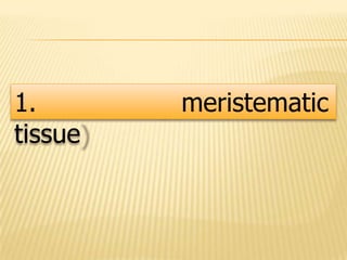 1.       meristematic
tissue
 