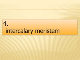 4.
intercalary meristem