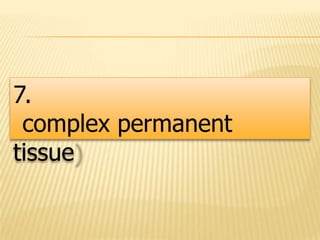 7.
complex permanent
tissue