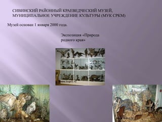 СИВИНСКИЙ РАЙОННЫЙ КРАЕВЕДЧЕСКИЙ МУЗЕЙ,
  МУНИЦИПАЛЬНОЕ УЧРЕЖДЕНИЕ КУЛЬТУРЫ (МУК СРКМ)

Музей основан 1 января 2000 года.

                             Экспозиция «Природа
                             родного края»
 