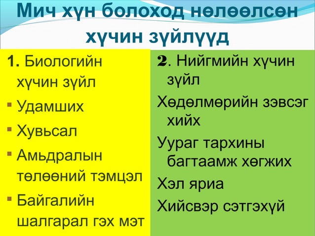 хүний үүсэл | PPT