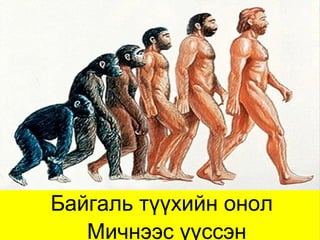 Байгаль түүхийн онол
   Мичнээс үүссэн
 