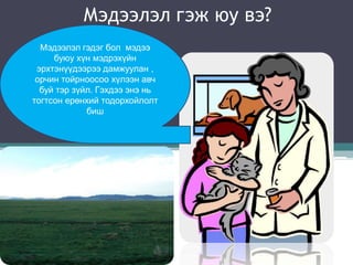 Мэдээлэл гэж юу вэ?
  Мэдээлэл гэдэг бол мэдээ
     буюу хүн мэдрэхүйн
 эрхтэнүүдээрээ дамжуулан ,
 орчин тойрноосоо хүлээн авч
  буй тэр зүйл. Гэхдээ энэ нь
тогтсон ерөнхий тодорхойлолт
             биш
 