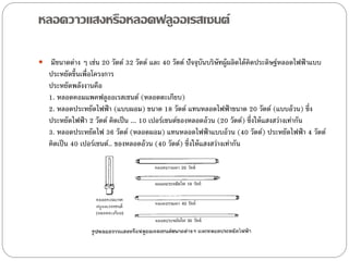 หลอดวาวแสงหรือหลอดฟลูออเรสเซนต์

 มีขนาดต่าง ๆ เช่น 20 วัตต์ 32 วัตต์ และ 40 วัตต์ ปัจจุบันบริษัทผู้ผลิตได้ คิดประดิษฐ์หลอดไฟฟ้ าแบบ
   ประหยัดขึ้นเพื่อโครงการ
   ประหยัดพลังงานคือ
   1. หลอดคอมแพคฟลูออเรสเซนต์ (หลอดตะเกียบ)
   2. หลอดประหยัดไฟฟ้ า (แบบผอม) ขนาด 18 วัตต์ แทนหลอดไฟฟ้ าขนาด 20 วัตต์ (แบบอ้ วน) ซึ่ง
   ประหยัดไฟฟ้ า 2 วัตต์ คิดเป็ น ... 10 เปอร์เซนต์ของหลอดอ้ วน (20 วัตต์) ซึ่งให้ แสงสว่างเท่ากัน
   3. หลอดประหยัดไฟ 36 วัตต์ (หลอดผอม) แทนหลอดไฟฟ้ าแบบอ้ วน (40 วัตต์) ประหยัดไฟฟ้ า 4 วัตต์
   คิดเป็ น 40 เปอร์เซนต์.. ของหลอดอ้ วน (40 วัตต์) ซึ่งให้ แสงสว่างเท่ากัน
 
