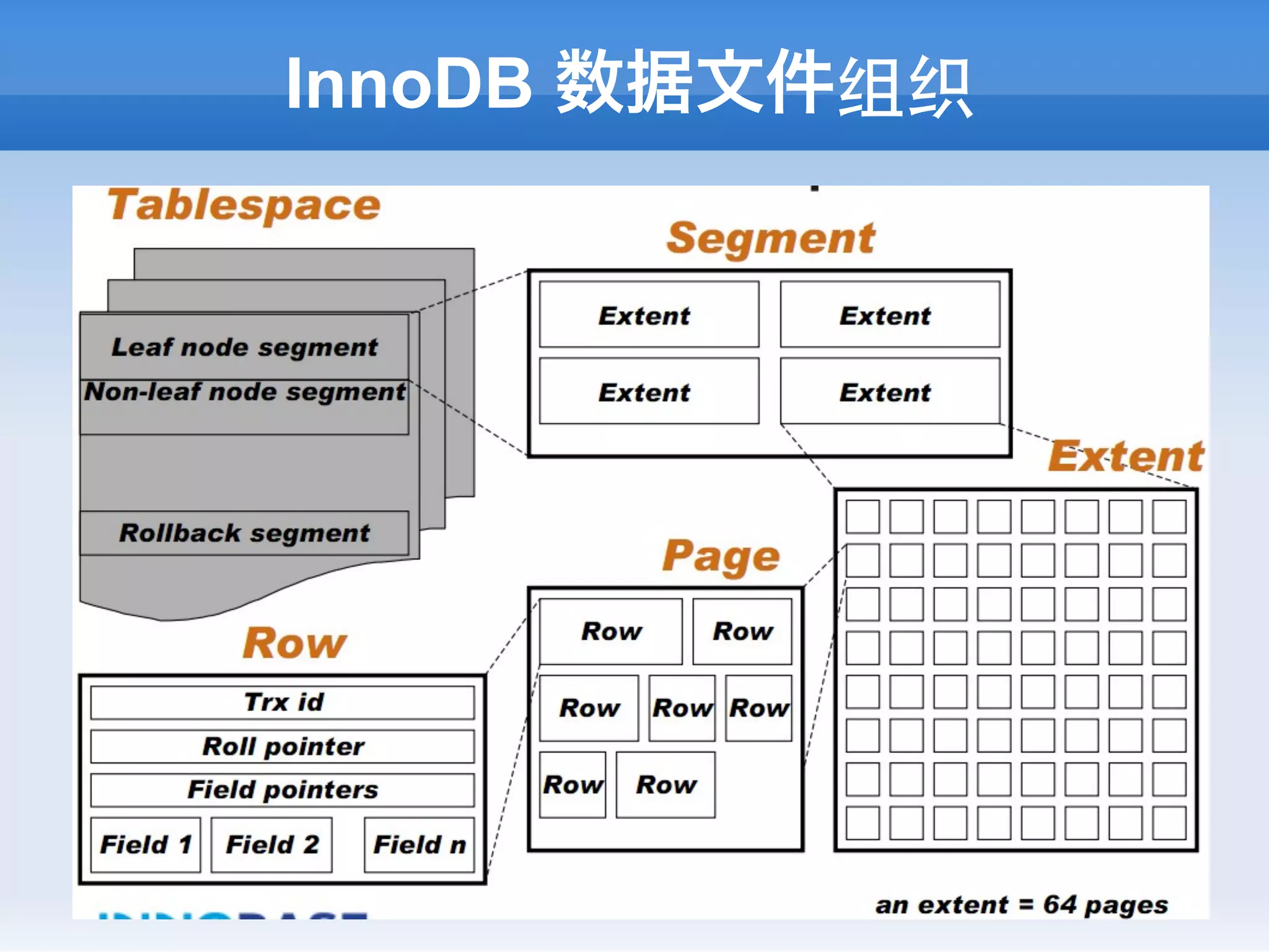 InnoDB 数据文件组织
 