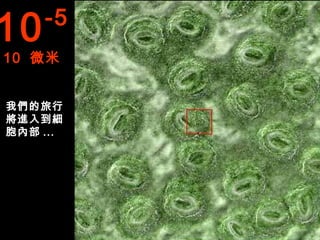 10   -5
10 微米


我們的旅行
將進入到細
胞內部 ...
 
