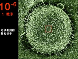 10   -6
1 微米



可以看到細
胞的核子 .
 