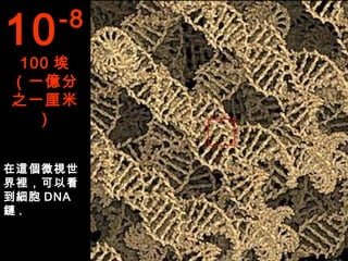 10   -8
 100 埃
（一億分
之一厘米
   ）


在這個微視世
界裡，可以看
到細胞 DNA
鏈.
 