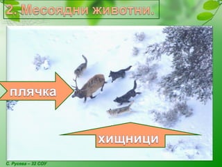 С. Русева – 32 СОУ
 