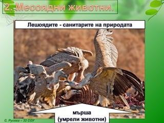 С. Русева – 32 СОУ
 