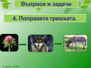 С. Русева – 32 СОУ
 