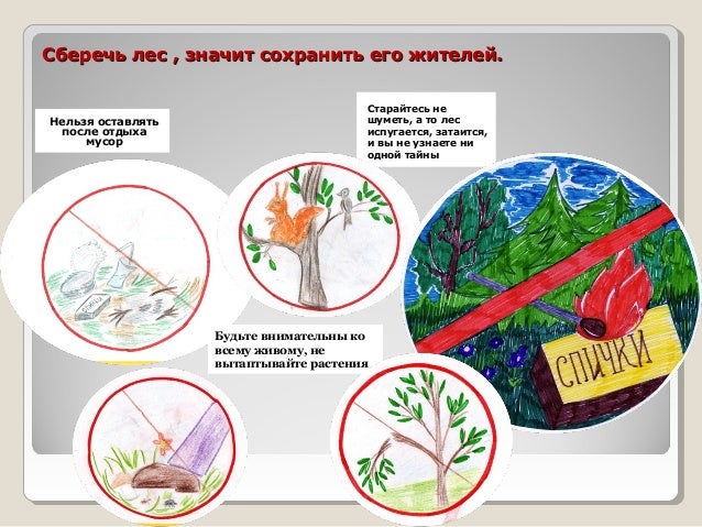 Статья о сохранении природы. Охрана окружающей среды. Какие сохрани. Поелкина тему экология. Экология берегите природу.