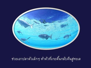 ยาวิเศษ