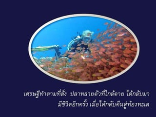 ยาวิเศษ