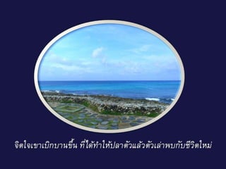 ยาวิเศษ