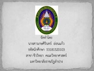 สื่อประกอบการสอนเรื่องสัตว์ครึ่งบก ครึ่งน้ำ
