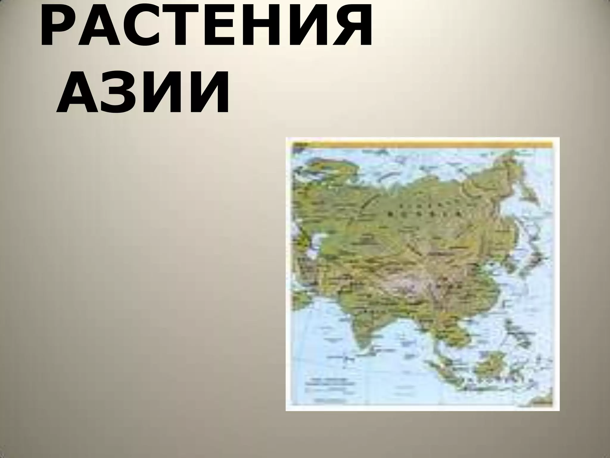 РАСТЕНИЯ
АЗИИ
 